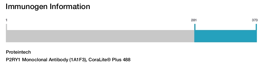 P2RY1 Monoclonal Antibody (1A1F3), CoraLite&reg; Plus 488