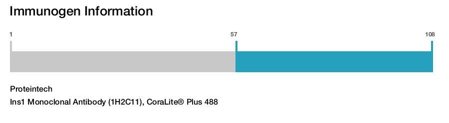 Ins1 Monoclonal Antibody (1H2C11), CoraLite&reg; Plus 488