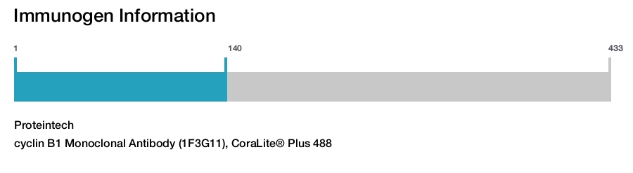 cyclin B1 Monoclonal Antibody (1F3G11), CoraLite&reg; Plus 488