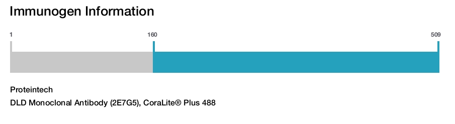 DLD Monoclonal Antibody (2E7G5), CoraLite&reg; Plus 488