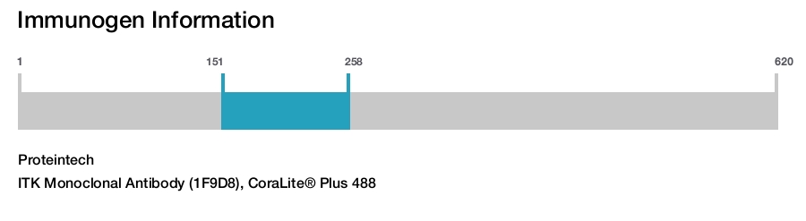 ITK Monoclonal Antibody (1F9D8), CoraLite&reg; Plus 488