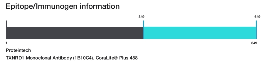 TXNRD1 Monoclonal Antibody (1B10C4), CoraLite&reg; Plus 488