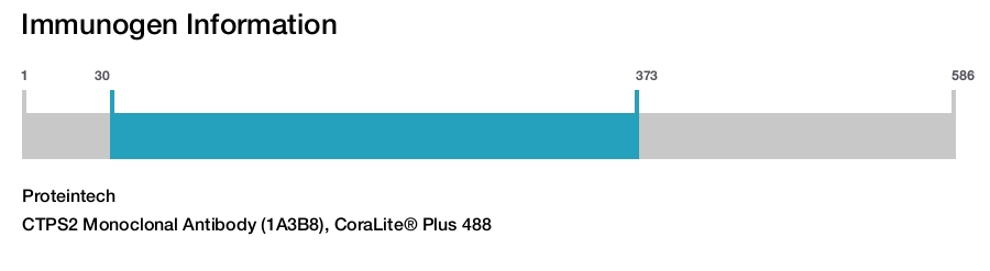 CTPS2 Monoclonal Antibody (1A3B8), CoraLite&reg; Plus 488