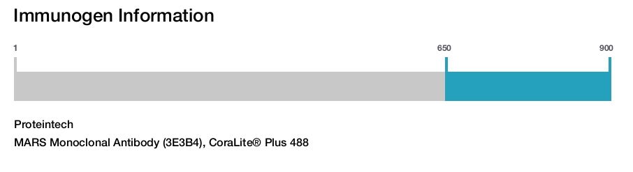 MARS Monoclonal Antibody (3E3B4), CoraLite&reg; Plus 488