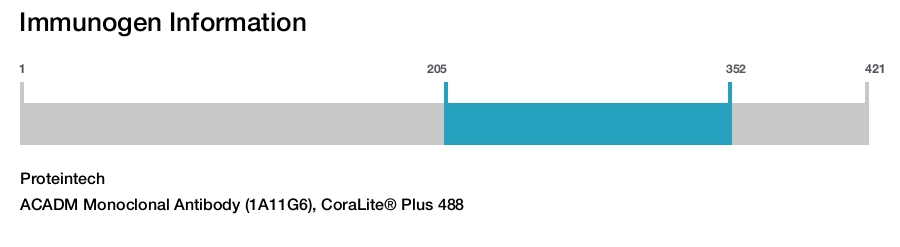 ACADM Monoclonal Antibody (1A11G6), CoraLite® Plus 488