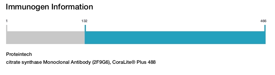 citrate synthase Monoclonal Antibody (2F9G6), CoraLite&reg; Plus 488