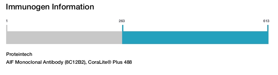 AIF Monoclonal Antibody (8C12B2), CoraLite&reg; Plus 488