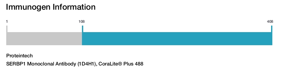 SERBP1 Monoclonal Antibody (1D4H1), CoraLite&reg; Plus 488