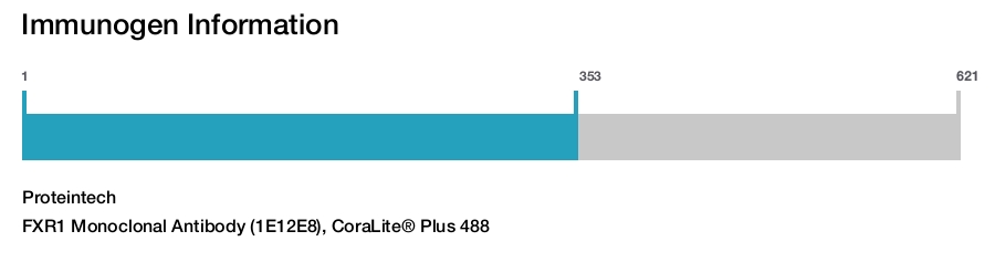 FXR1 Monoclonal Antibody (1E12E8), CoraLite&reg; Plus 488