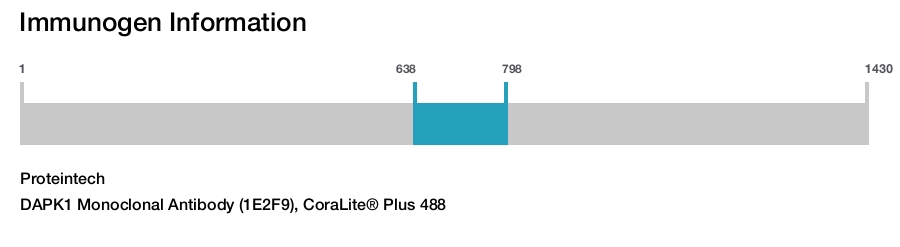 DAPK1 Monoclonal Antibody (1E2F9), CoraLite&reg; Plus 488