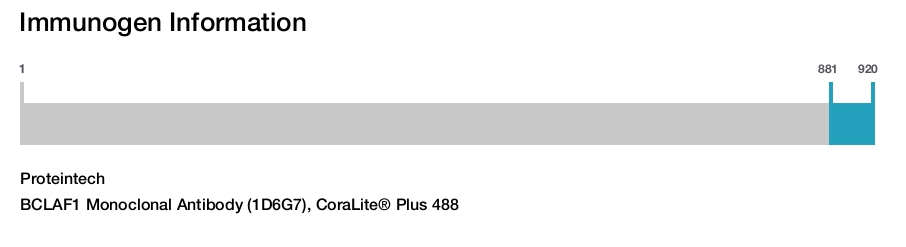 BCLAF1 Monoclonal Antibody (1D6G7), CoraLite&reg; Plus 488
