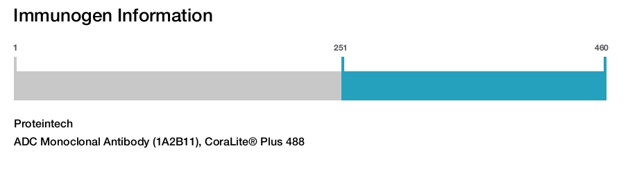 ADC Monoclonal Antibody (1A2B11), CoraLite&reg; Plus 488