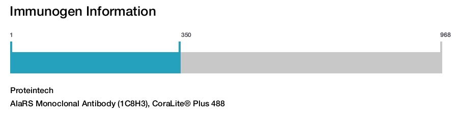 AlaRS Monoclonal Antibody (1C8H3), CoraLite&reg; Plus 488