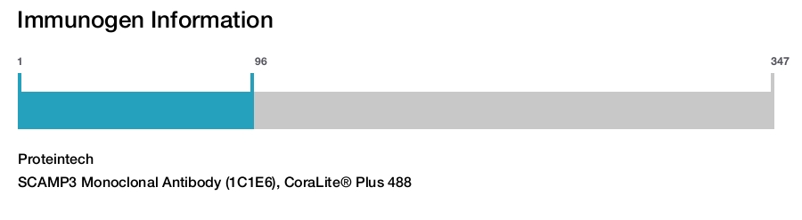SCAMP3 Monoclonal Antibody (1C1E6), CoraLite&reg; Plus 488