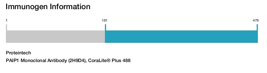 PAIP1 Monoclonal Antibody (2H9D4), CoraLite&reg; Plus 488