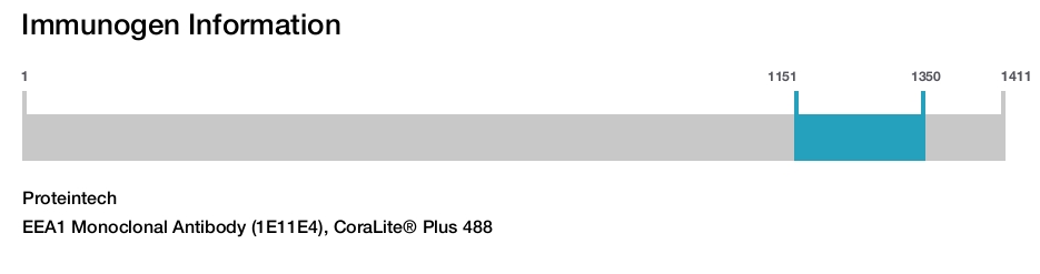 EEA1 Monoclonal Antibody (1E11E4), CoraLite® Plus 488