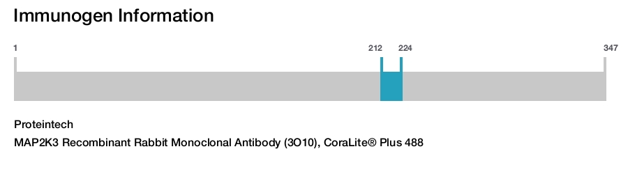 MAP2K3 Recombinant Rabbit Monoclonal Antibody (3O10), CoraLite&reg; Plus 488