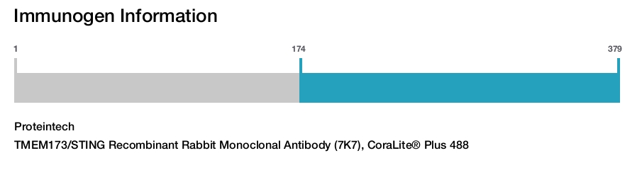 TMEM173/STING Recombinant Rabbit Monoclonal Antibody (7K7), CoraLite&reg; Plus 488