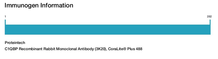 C1QBP Recombinant Rabbit Monoclonal Antibody (3K20), CoraLite® Plus 488