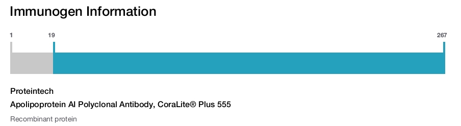Apolipoprotein AI Polyclonal Antibody, CoraLite&reg; Plus 555