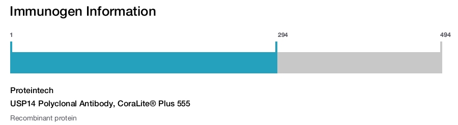 USP14 Polyclonal Antibody, CoraLite&reg; Plus 555