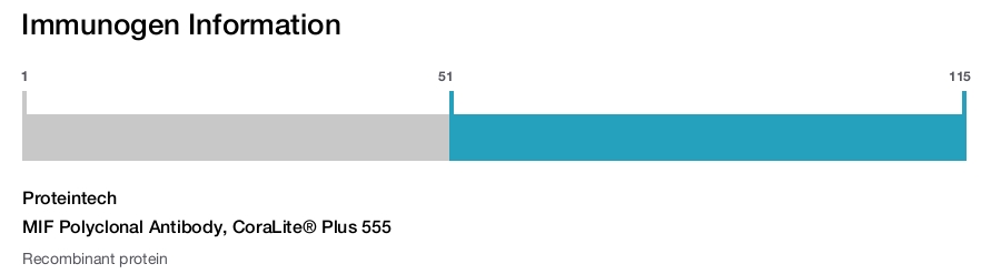 MIF Polyclonal Antibody, CoraLite&reg; Plus 555