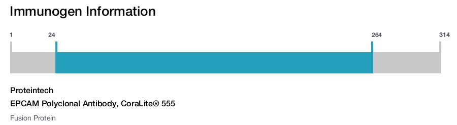 EPCAM Polyclonal Antibody, CoraLite&reg; 555