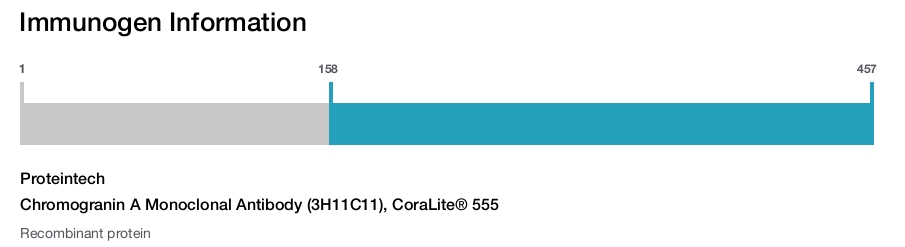 Chromogranin A Monoclonal Antibody (3H11C11), CoraLite&reg; 555