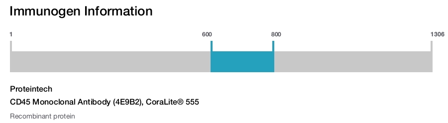 CD45 Monoclonal Antibody (4E9B2), CoraLite&reg; 555