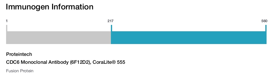 CDC6 Monoclonal Antibody (6F12D2), CoraLite&reg; 555