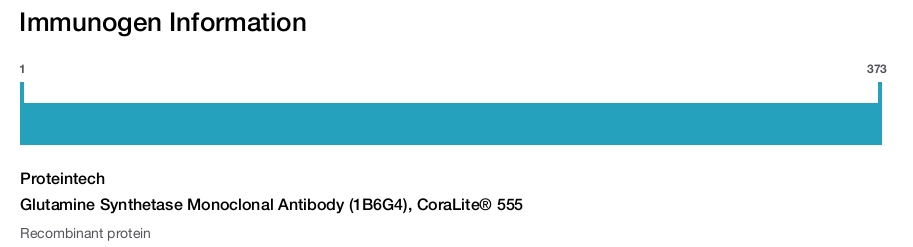 Glutamine Synthetase Monoclonal Antibody (1B6G4), CoraLite&reg; 555