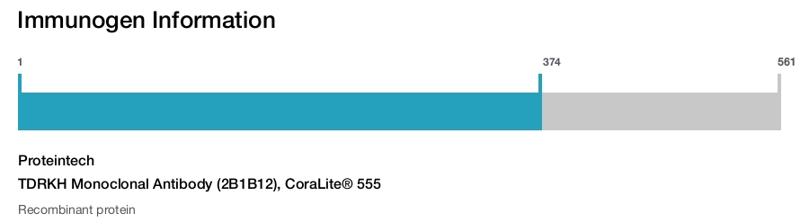 TDRKH Monoclonal Antibody (2B1B12), CoraLite® 555