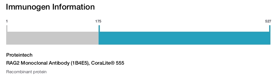 RAG2 Monoclonal Antibody (1B4E5), CoraLite&reg; 555