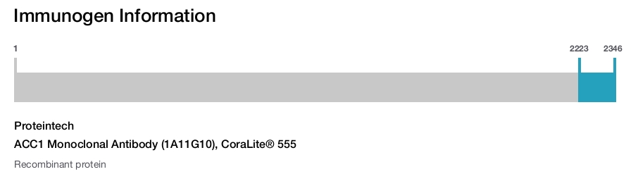 ACC1 Monoclonal Antibody (1A11G10), CoraLite&reg; 555