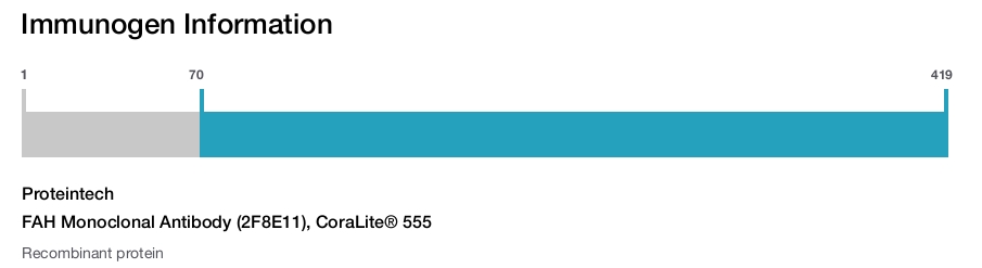 FAH Monoclonal Antibody (2F8E11), CoraLite® 555