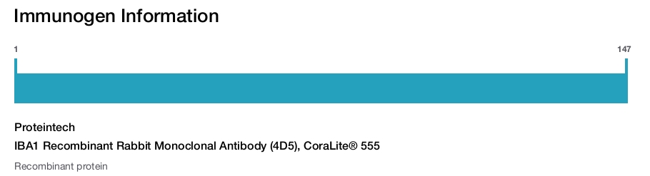 IBA1 Recombinant Rabbit Monoclonal Antibody (4D5), CoraLite&reg; 555