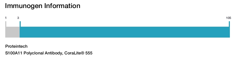 S100A11 Polyclonal Antibody, CoraLite® 555