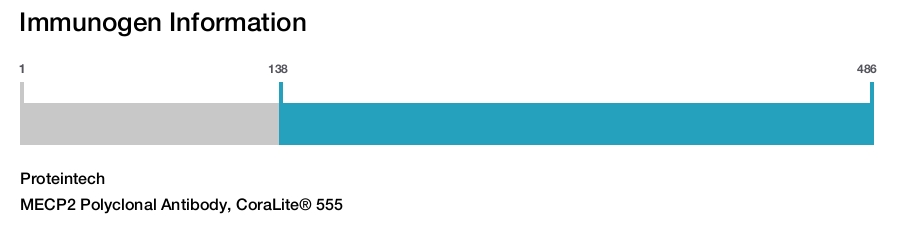 MECP2 Polyclonal Antibody, CoraLite&reg; 555