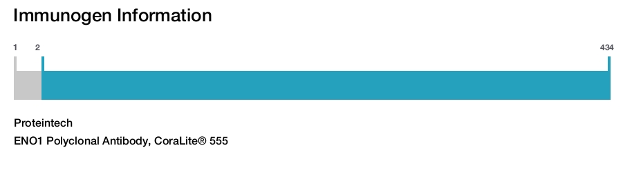 ENO1 Polyclonal Antibody, CoraLite&reg; 555