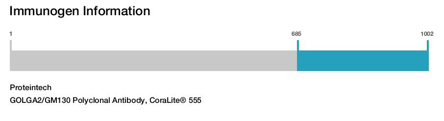 GOLGA2/GM130 Polyclonal Antibody, CoraLite&reg; 555