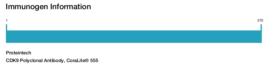 CDK9 Polyclonal Antibody, CoraLite&reg; 555