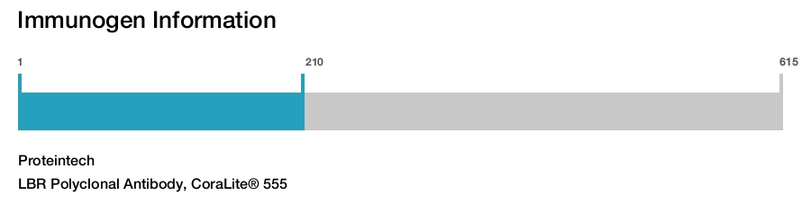 LBR Polyclonal Antibody, CoraLite&reg; 555