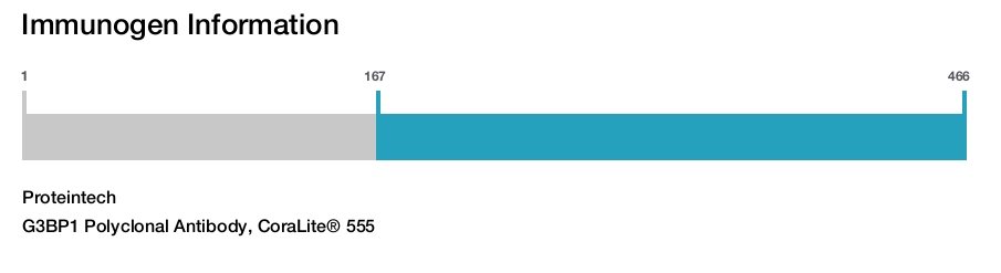 G3BP1 Polyclonal Antibody, CoraLite&reg; 555
