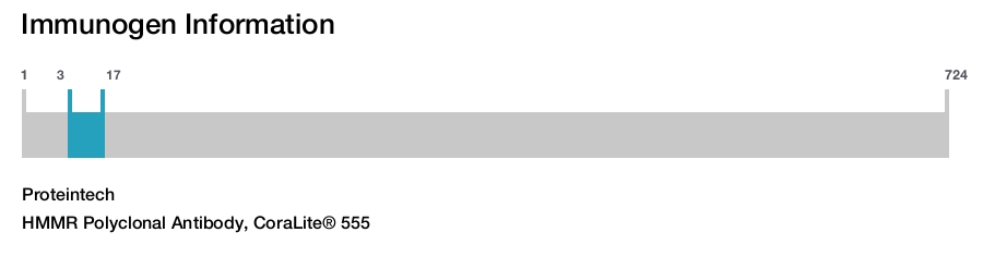 HMMR Polyclonal Antibody, CoraLite&reg; 555