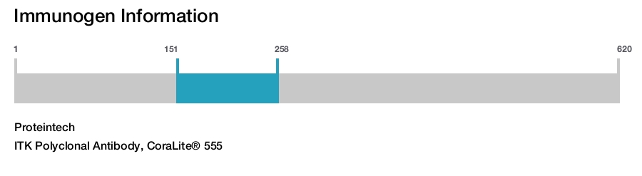 ITK Polyclonal Antibody, CoraLite&reg; 555
