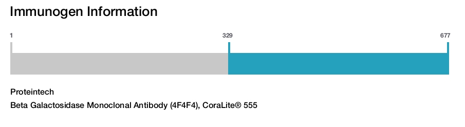Beta Galactosidase Monoclonal Antibody (4F4F4), CoraLite&reg; 555