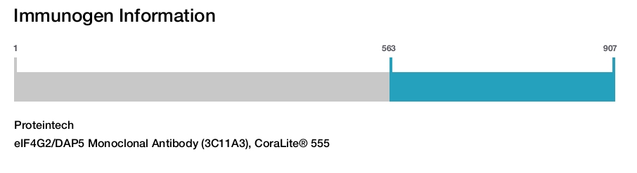 eIF4G2/DAP5 Monoclonal Antibody (3C11A3), CoraLite&reg; 555