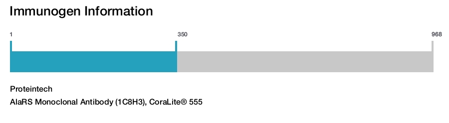 AlaRS Monoclonal Antibody (1C8H3), CoraLite&reg; 555