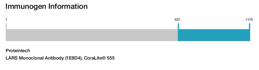 LARS Monoclonal Antibody (1E8D4), CoraLite&reg; 555