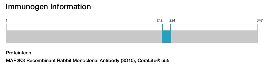 MAP2K3 Recombinant Rabbit Monoclonal Antibody (3O10), CoraLite&reg; 555